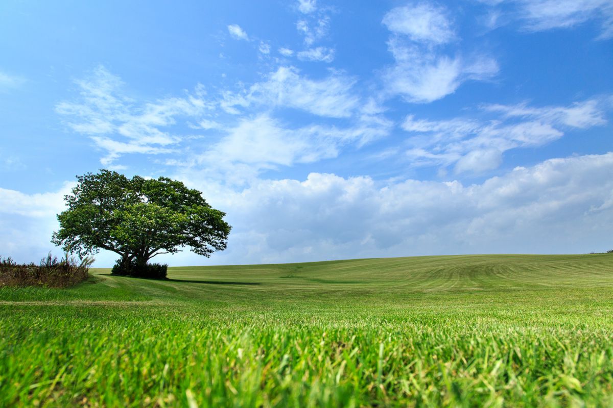 夏風景 自然 風景 大地 Ganref
