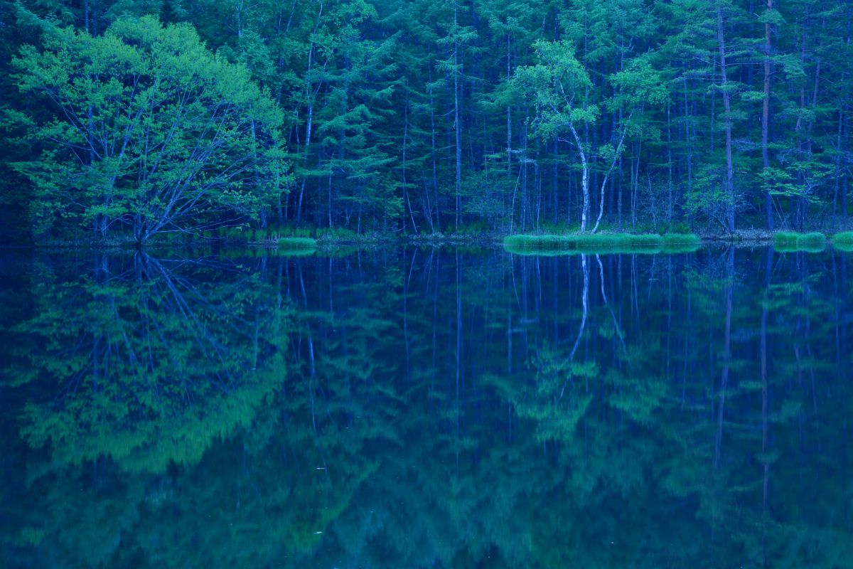 青色の自然風景画 湖と馬 青色の自然風景画 湖と馬