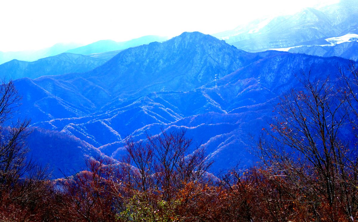 ブルーマウンテン Amazon | Monteverde ブルーマウンテン万年筆 オムニフレックス