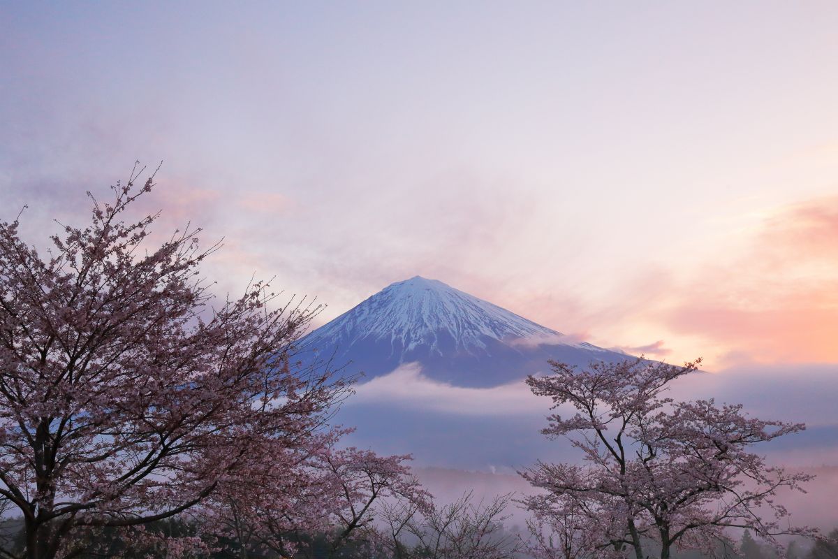 春霞の朝 | GANREF