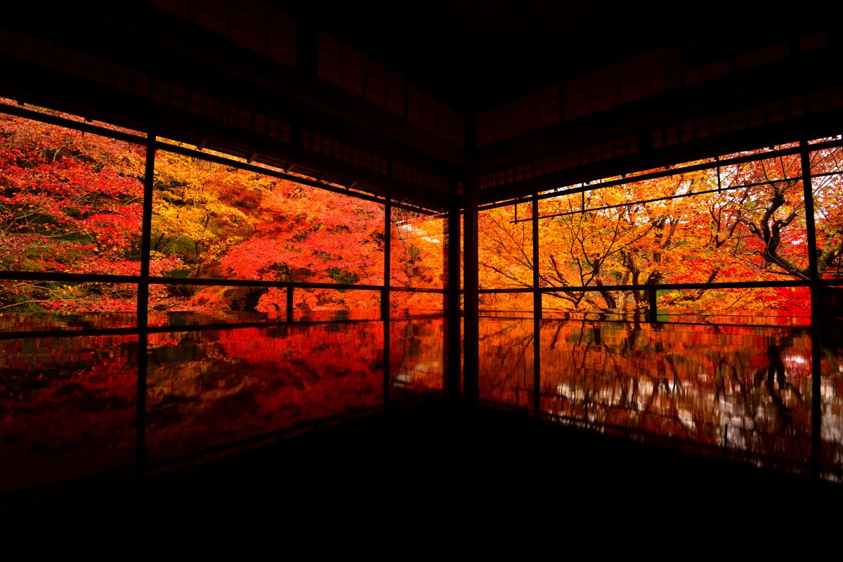 reflection | GANREF