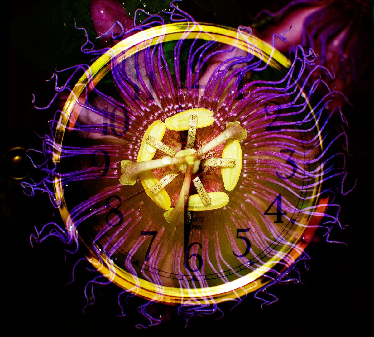 TIME | GANREF