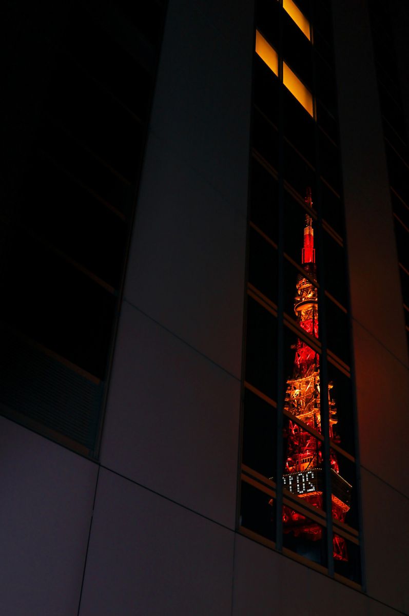 Reflection ① | GANREF