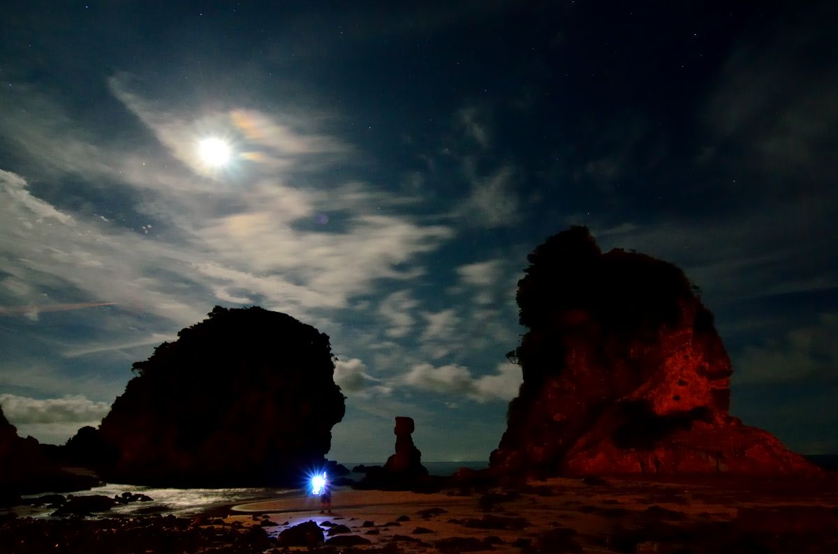 Moon light serenade | GANREF