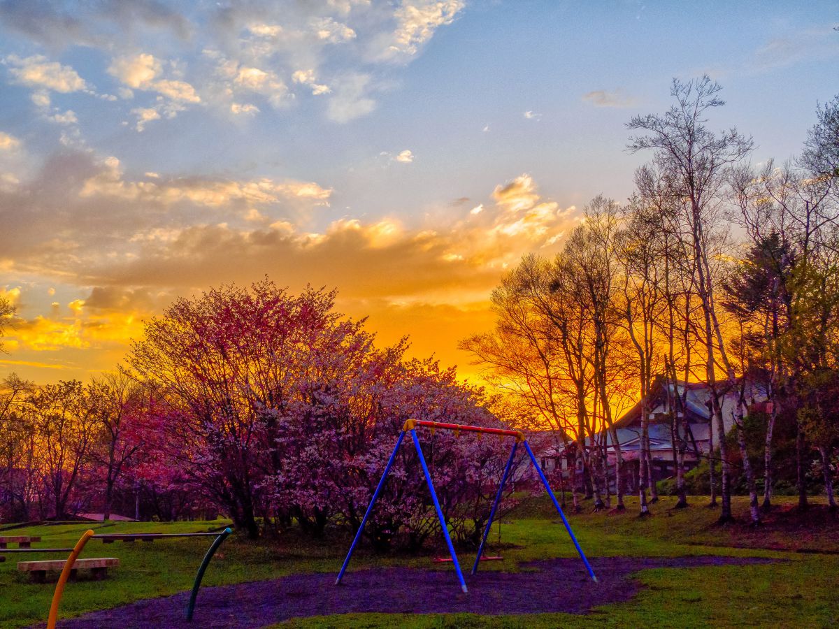 風景画 公園の夕焼け 画家志望作 夕焼けに輝く安曇野田園風景[10222009678]の写真・イラスト素材