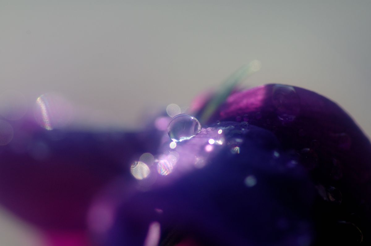 眩い | GANREF