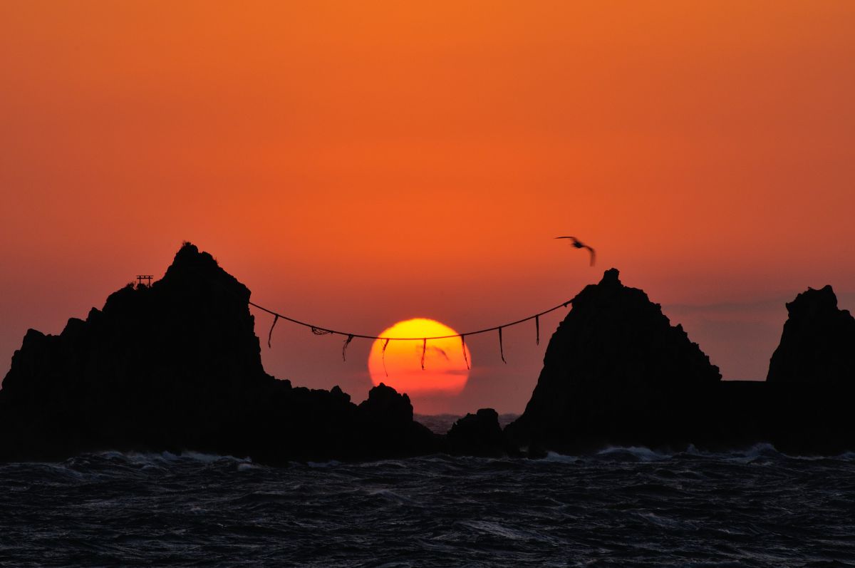 The gate of sunrise | GANREF