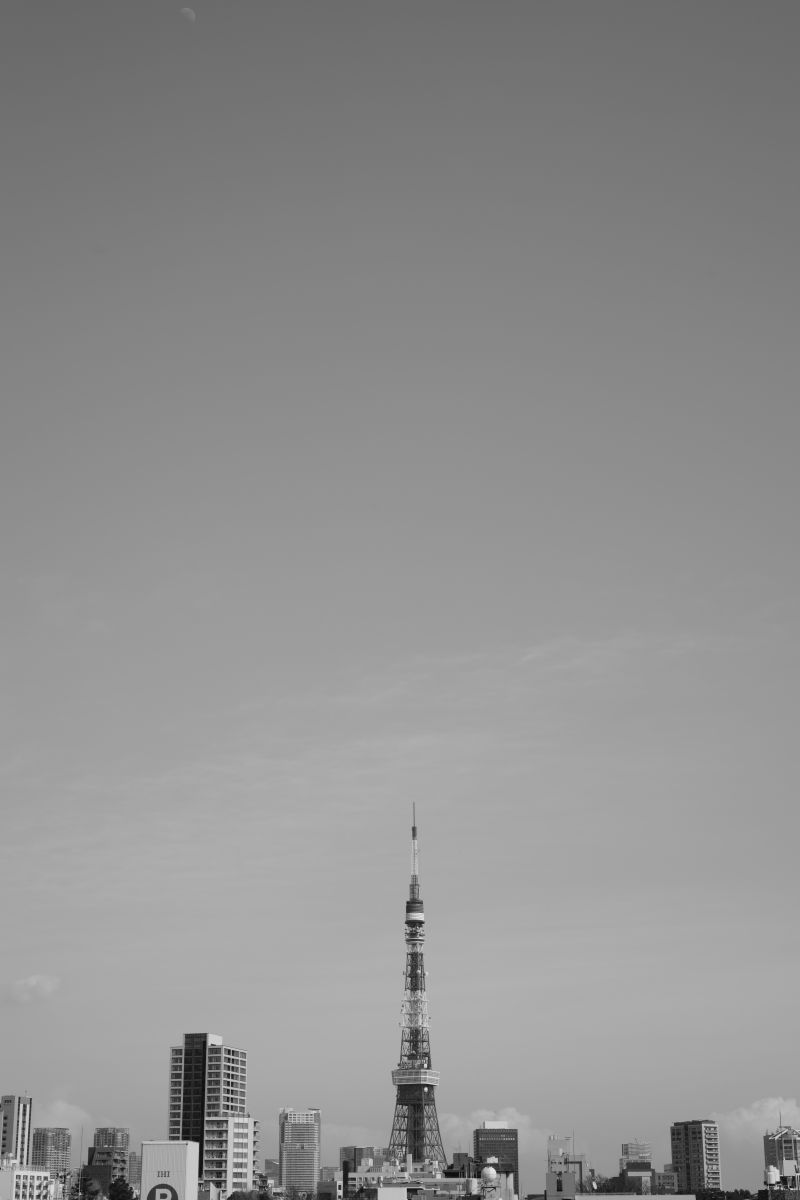 Alone tower and alone moon | GANREF