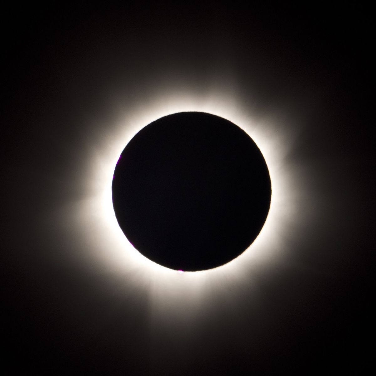 黒い太陽 | GANREF 