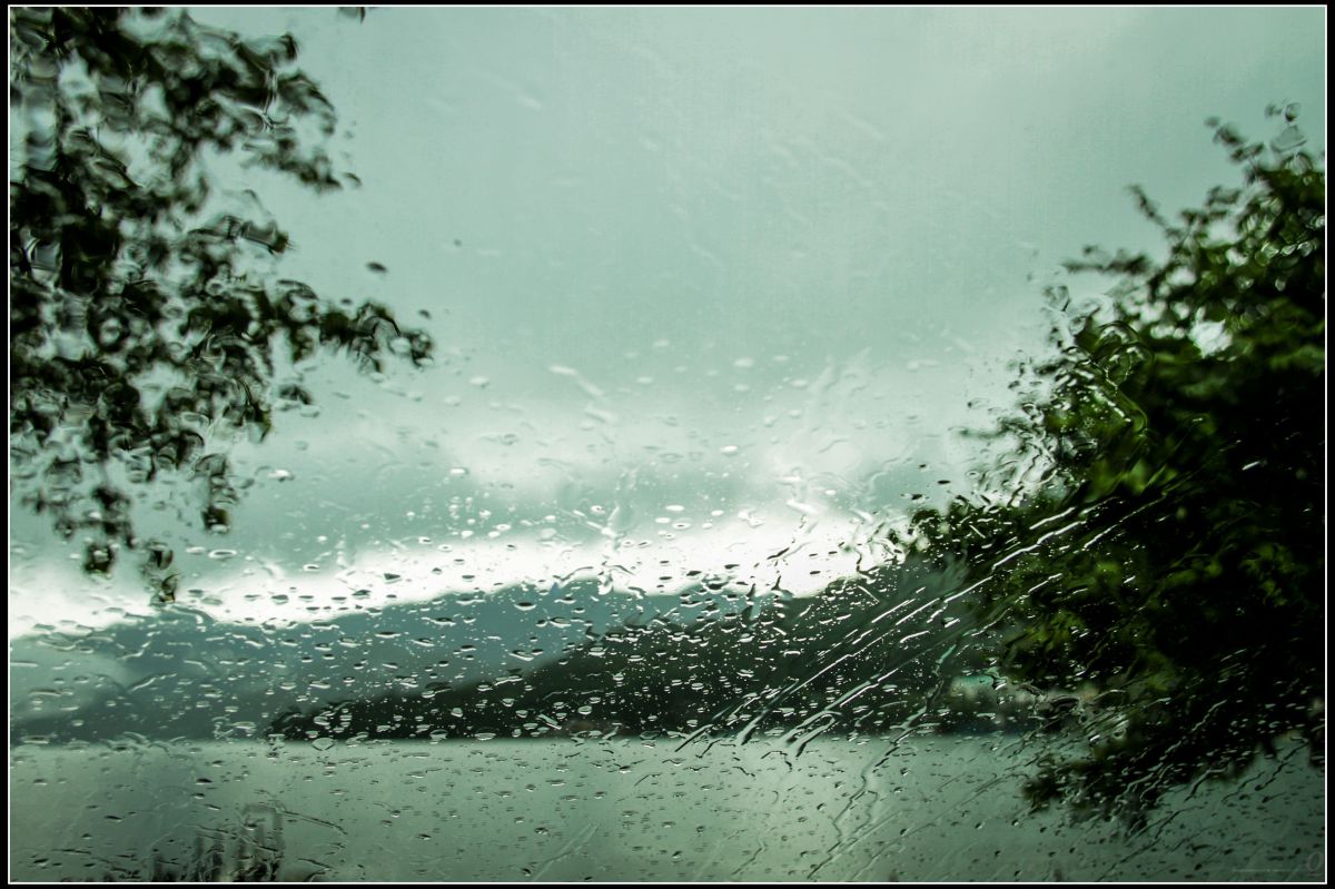 霧雨中禅 | GANREF